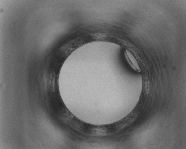 X0000088410525200706191425