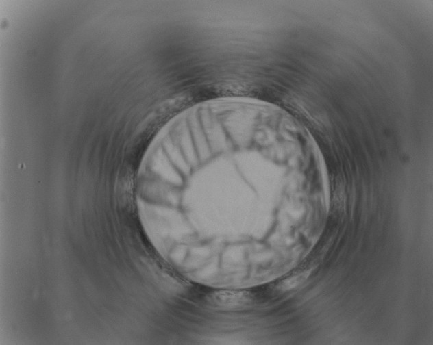 X0000088410526200706191425