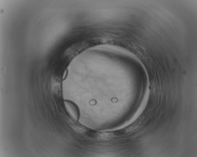 X0000088410527200706191425