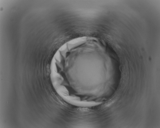 X0000088410528200706191425