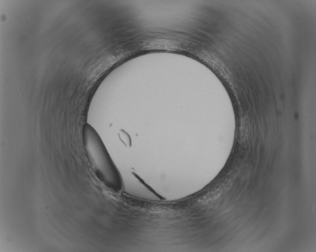 X0000088410529200706191424