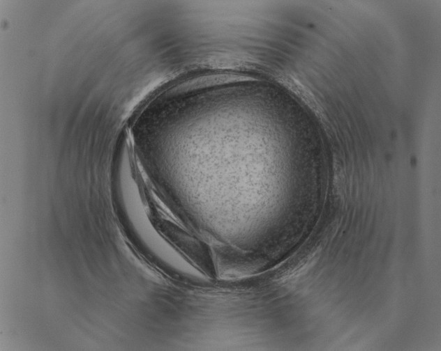 X0000088410530200706191424