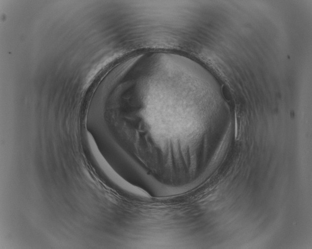 X0000088410531200706191424