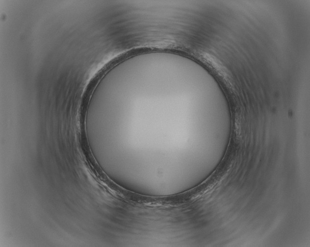 X0000088410532200706191424