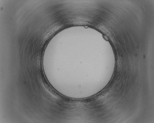 X0000088410533200706191425