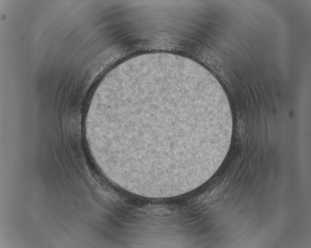 X0000088410534200706191425