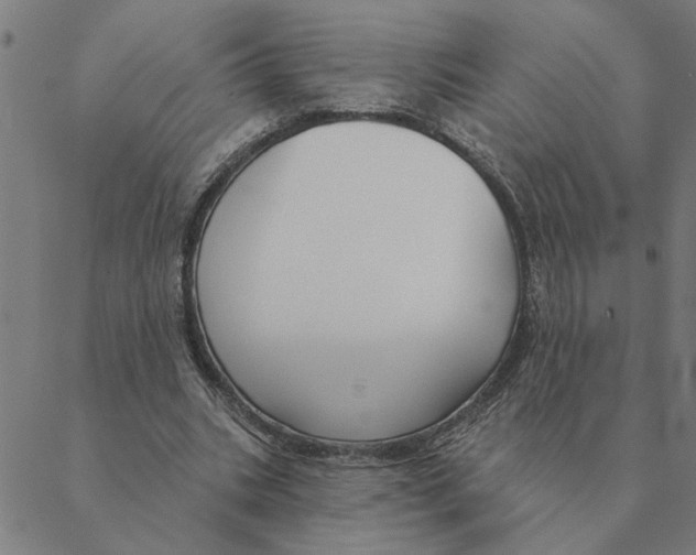 X0000088410535200706191425