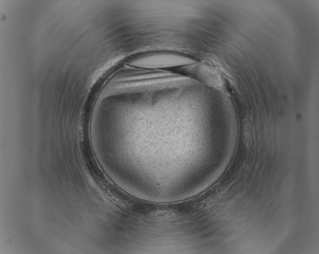 X0000088410536200706191425