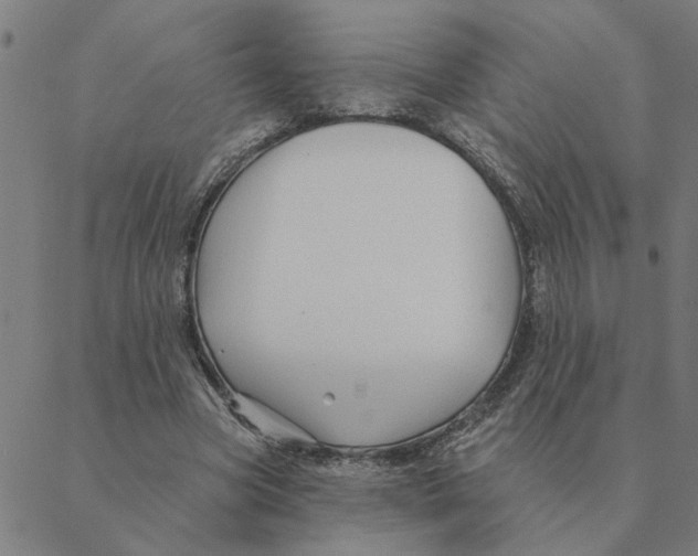 X0000088410537200706191425