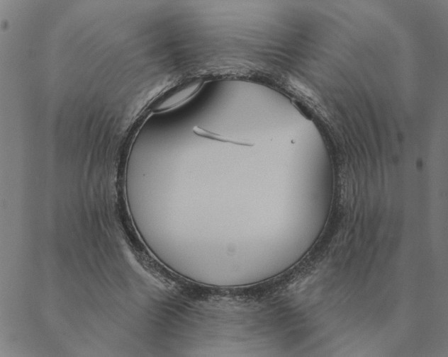 X0000088410538200706191425