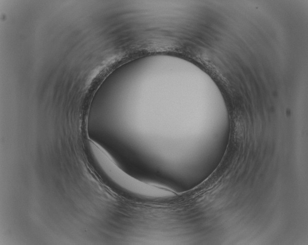 X0000088410539200706191425