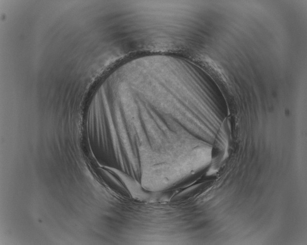 X0000088410540200706191425