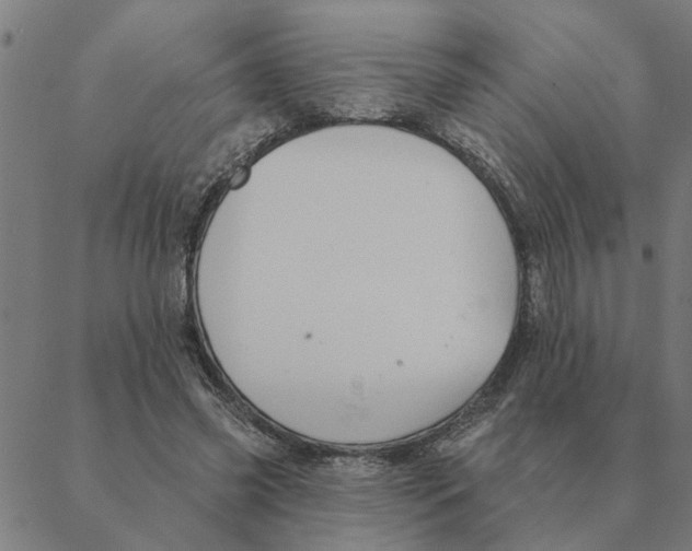 X0000088410541200706191425