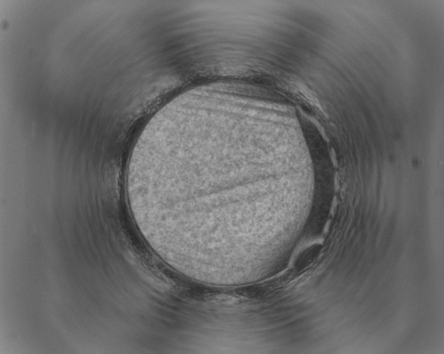 X0000088410542200706191425