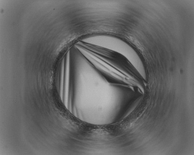 X0000088410544200706191425