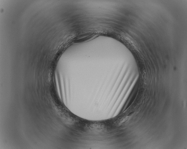 X0000088410546200706191425