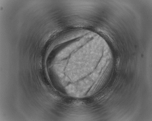 X0000088410547200706191425