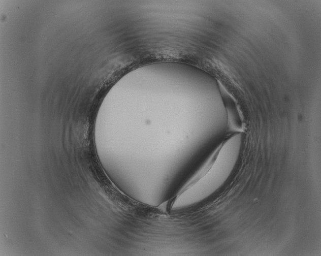 X0000088410548200706191425