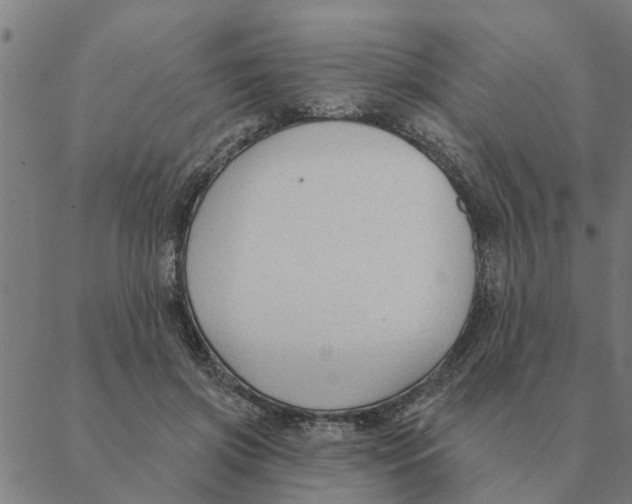 X0000088410549200706191425