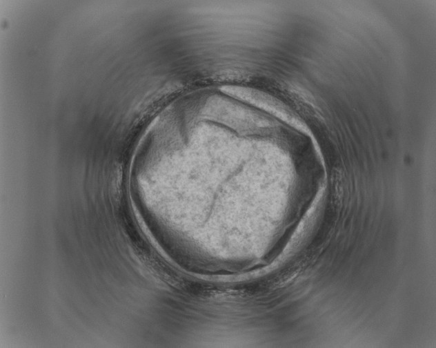 X0000088410550200706191425