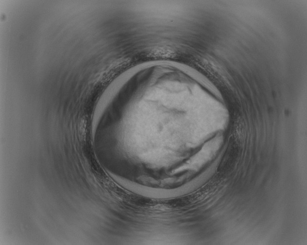 X0000088410551200706191425