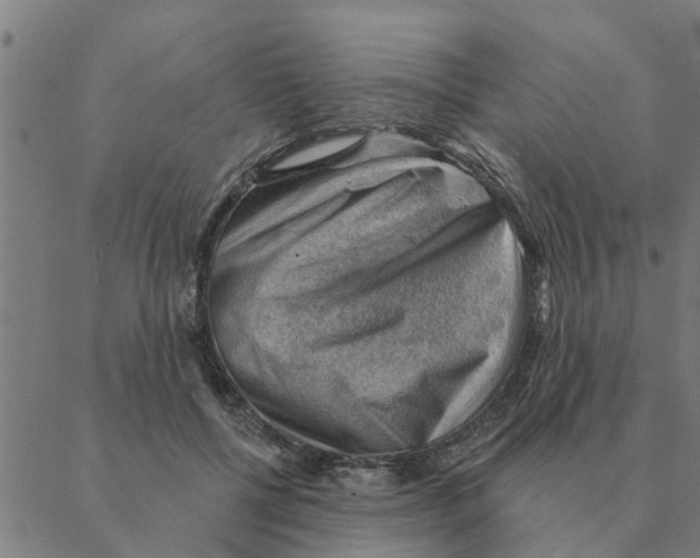 X0000088410552200706191425