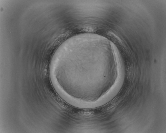 X0000088410553200706191425