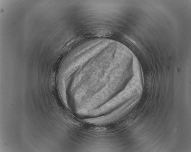 X0000088410554200706191425