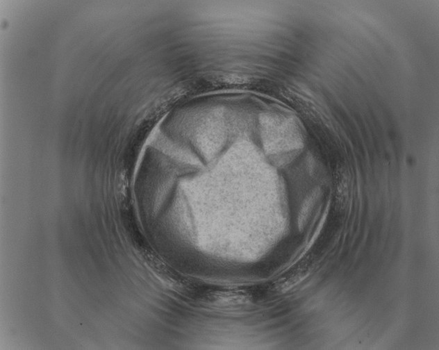 X0000088410555200706191425