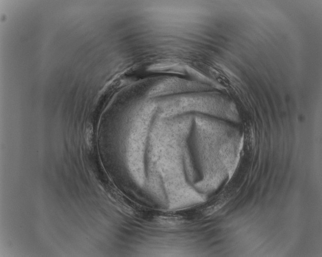 X0000088410556200706191425