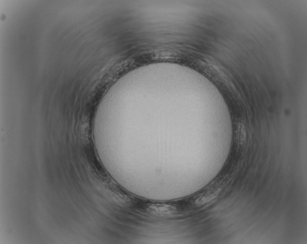 X0000088410557200706191425