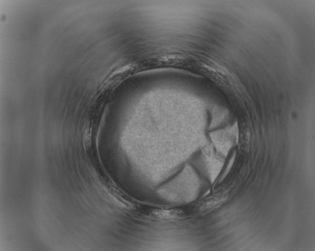 X0000088410558200706191425