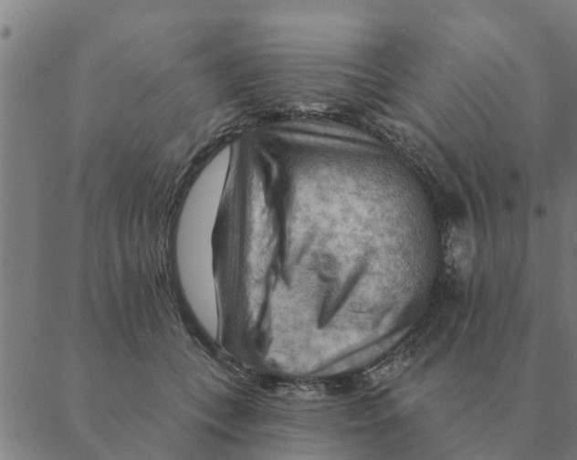 X0000088410559200706191425