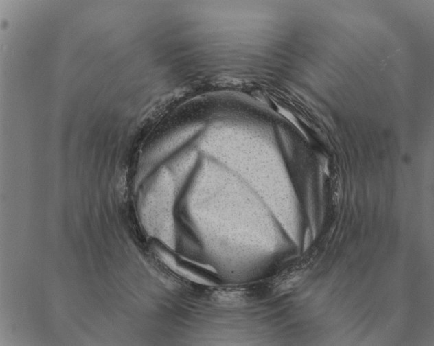 X0000088410560200706191425