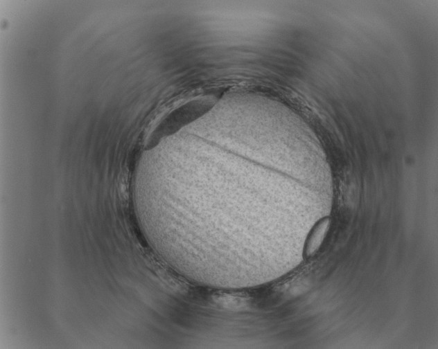 X0000088410561200706191425