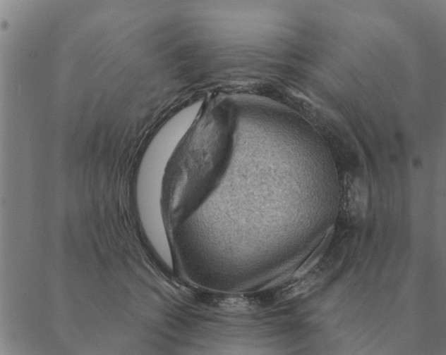 X0000088410562200706191425