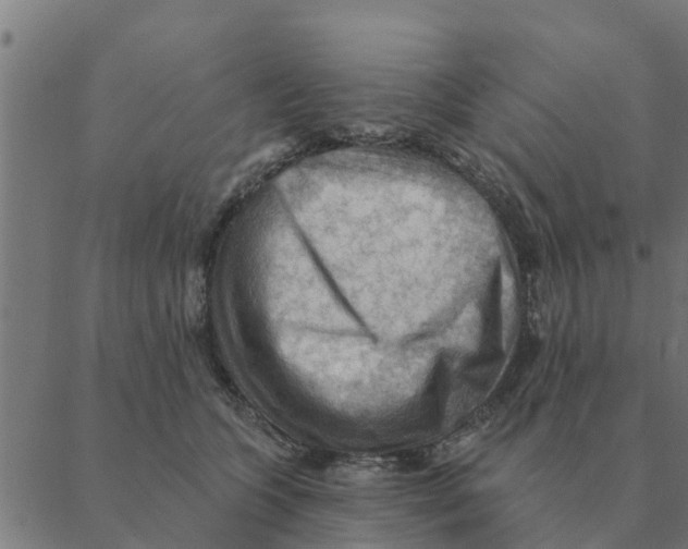 X0000088410563200706191425