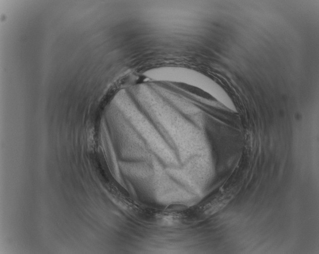 X0000088410564200706191425