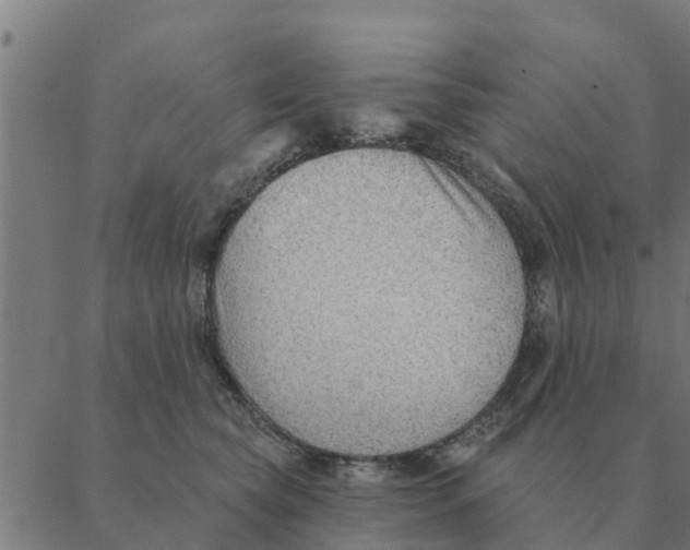 X0000088410565200706191425