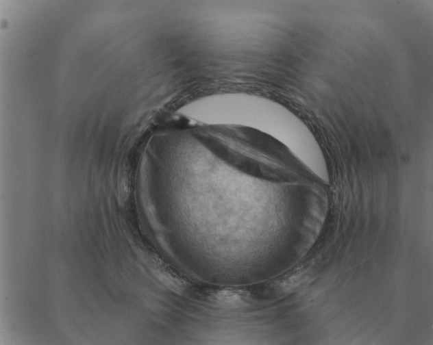 X0000088410566200706191425