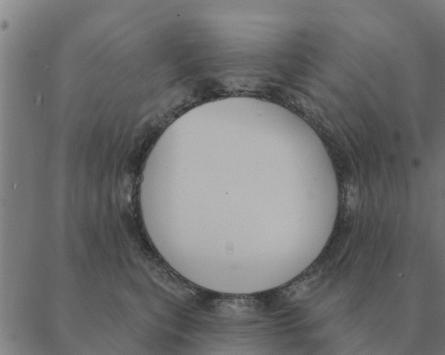 X0000088410567200706191425