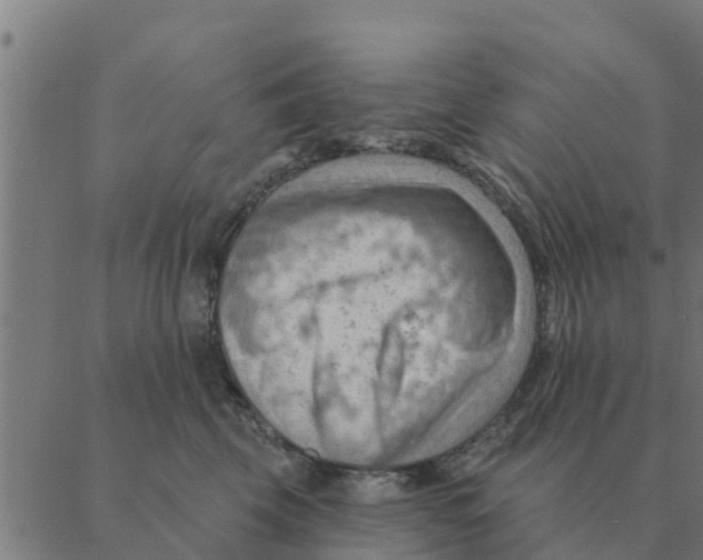 X0000088410569200706191425