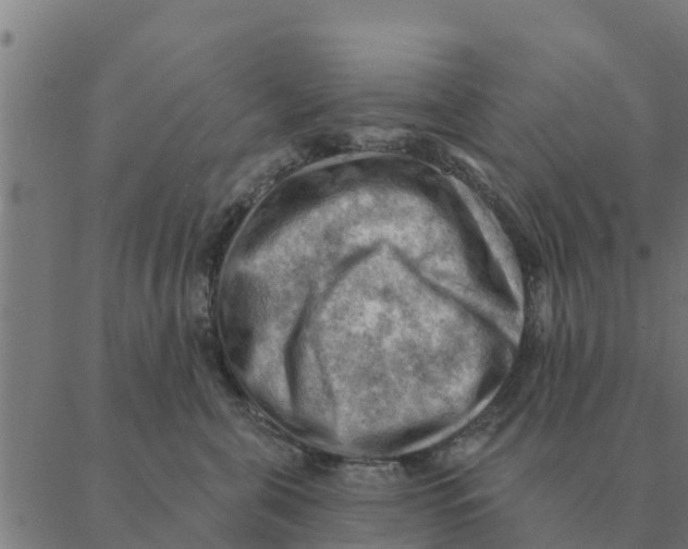 X0000088410571200706191425