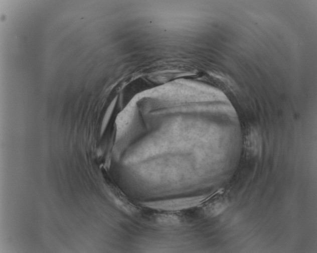 X0000088410572200706191425