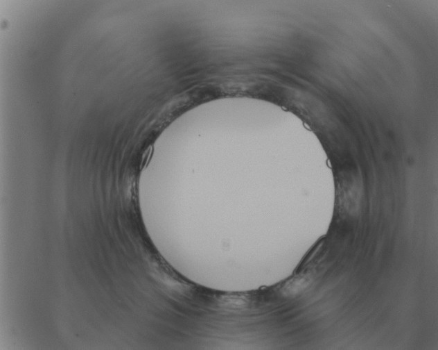 X0000088410574200706191425