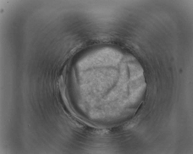 X0000088410576200706191425