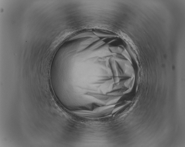 X0000088410577200706191424