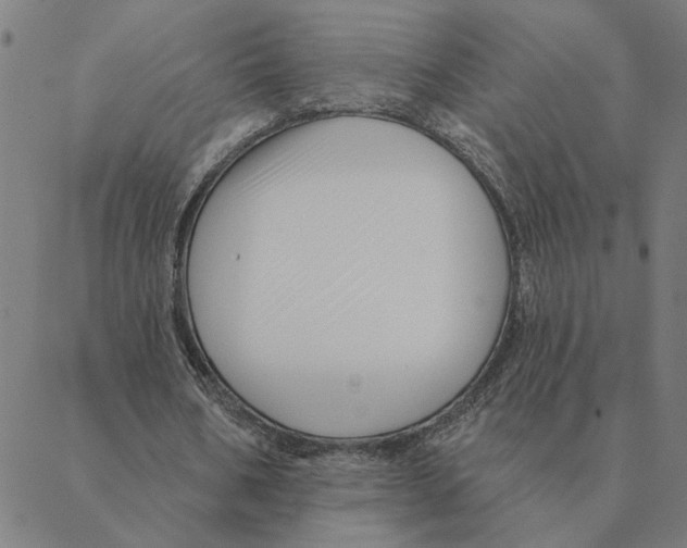 X0000088410578200706191424