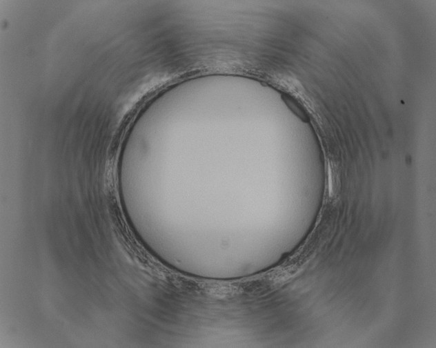 X0000088410579200706191424