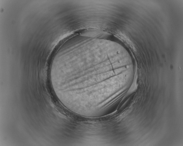 X0000088410580200706191424